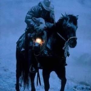 Meet your Posher, Carole